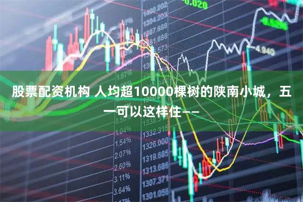 股票配资机构 人均超10000棵树的陕南小城，五一可以这样住——