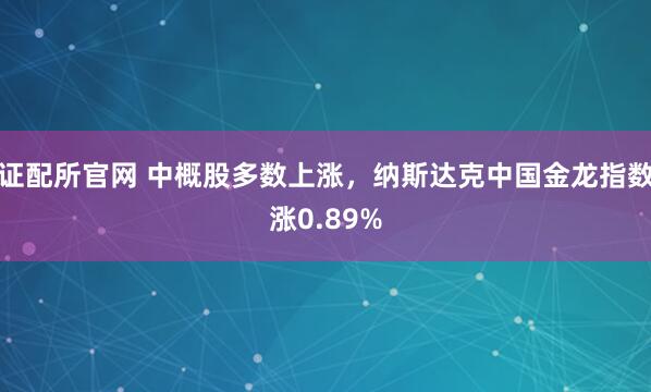 证配所官网 中概股多数上涨，纳斯达克中国金龙指数涨0.89%